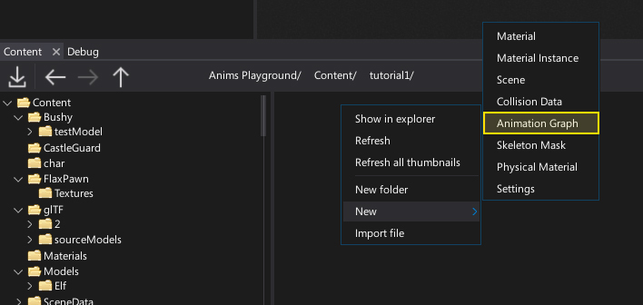 Create Anim Graph