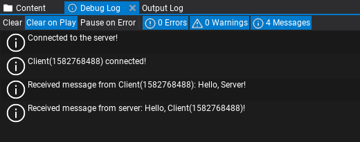 Network Client Server Debug Log Output
